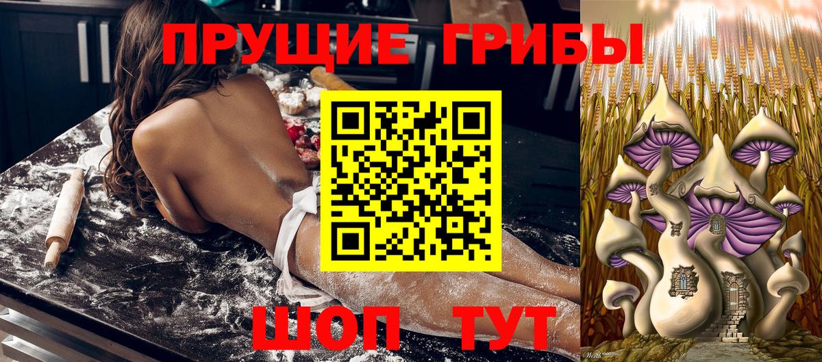 Югорск  Галлюциногенные грибы MAGIC MUSHROOMS  Псилоцибиновые грибы MAGIC MUSHROOMS  Вход с VPN 